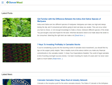 Tablet Screenshot of denverweed.com